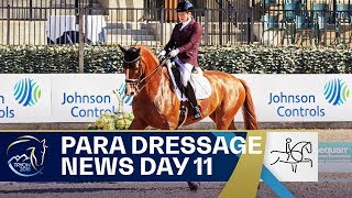 5 Grades  5 World Champions  Para Dressage  FEI World Equestrian Games 2018 [upl. by Eileme44]