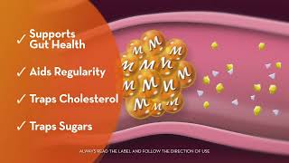 NEW AU Metamucil 4in1 Multi Health Fibre 6s [upl. by Qerat]