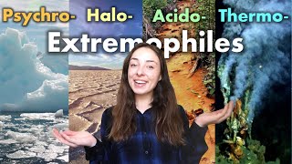 Extremophiles Organisms That Live in Extremely Cold Hot Acidic or Salty Environments  GEO GIRL [upl. by Notle988]