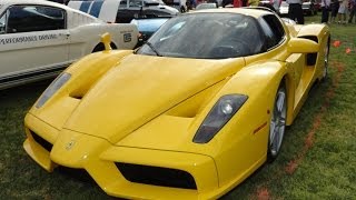 2003 Ferrari Enzo with rare factory yellow paint  My Car Story with Lou Costabile [upl. by Terle]