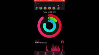 How To View Workout History on Apple Watch [upl. by Perkin]