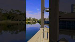 View of Paddlefish and rainforestcafe from Marketplace Bridge at Disney Springs [upl. by Ahsercal]