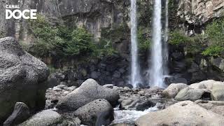 Sonido de Cascada  Agua Cayendo en el Bosque  Ruido Blanco 12 Horas ASMR para Dormir y Relajarse [upl. by Aznofla]