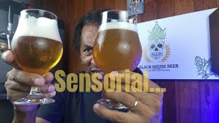 Como desenvolver o paladar cervejeiro sensorial [upl. by Ninnetta221]