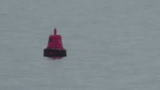 Red Can Buoy Draystone Plymouth Sound Devon England 12th July 2024 [upl. by Rehsu]