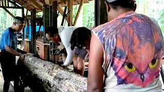 Who Likes Bubo Scandiacus Watch This  The natural beauty of the sawmill process [upl. by Dexter]