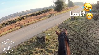 get lost with us  ft a paranoid pony  forest rides  GO PRO  equinemollie [upl. by Telrats301]