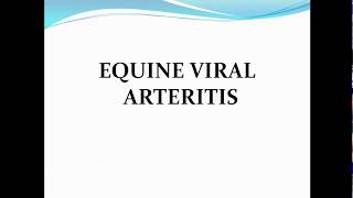 Equine viral arteritis ppt [upl. by Fritz]