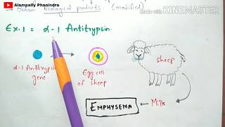 Animal Transgenesis  Transgenic animals  Process  Examples  Bio science [upl. by Bird]