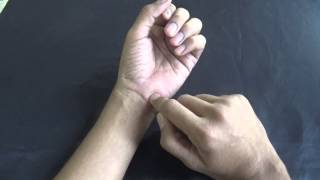 WRIST JOINT  MOVEMENTS [upl. by Hirai]