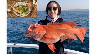 GF Catches HUGE 7lbs Red Rockfish Catch and Cook Steamed Rockfish Recipe [upl. by Lennad]