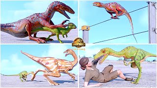 Australovenator amp Troodon All Perfect Animations amp Interactions 🦖 Jurassic World Evolution 2 [upl. by Yevette78]