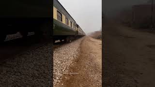 Train vs Indian Bat 🏏 railaddictrik railtrack railway railwayline railwaytrack railwayroute [upl. by Acirfa444]