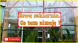 😉🌴👍189 Cz1Nowa szklarnia Co tam zimuję  ciekaweroslinypl [upl. by Shirk]