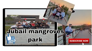 Jubail Mangrove Park abu dhabi [upl. by Janna434]