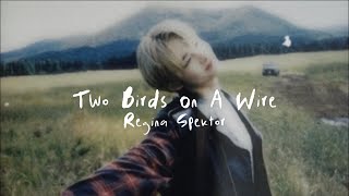 Regina Spektor  Two birds on a wire lyrics sped up  reverb [upl. by Odnanreh718]