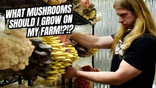 What Mushrooms should I Grow on my Farm [upl. by Levram]