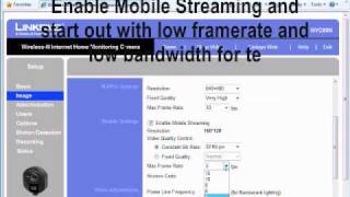Setting up RTSP on a Linksys IP Camera [upl. by Durgy]