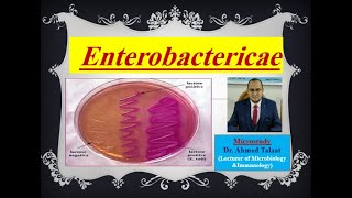 Enterobacteriaceae quotMedical Microbiologyquot [upl. by Jolynn]