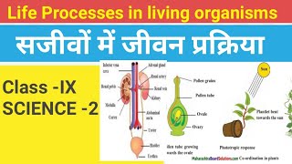 Science 2life process in living organismसजीवों में जीवन प्रक्रियाएँ Exercise [upl. by Dnaletak]