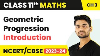 Geometric Progression Class 11  Geometric Progression Class 11 in Hindi [upl. by Garvin445]