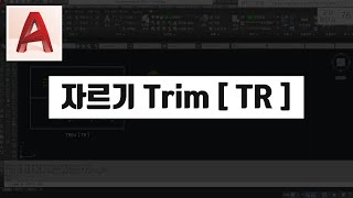 오토캐드 2020 이하버전에서 자르기Trim기능 사용하는 방법 오토캐드 40시간 완성 요약 강의 캐드신 클립 [upl. by Resay601]