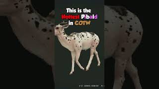 Tell me this is not the Best Piebald variation in theHunter Call of the Wild right now shorts [upl. by Adnyc608]