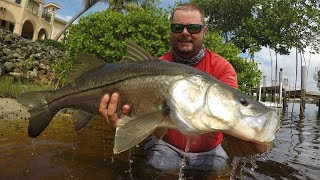 Kayak Fishing Monster Snook in Palm Beach County [upl. by Syhr]