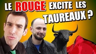 IDÉE REÇUE 21  Le rouge excite les taureaux feat Schoumsky [upl. by Wons]