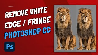 How To Remove White Edge and White Fringe  Photoshop CC 2022 [upl. by Elletsyrc812]