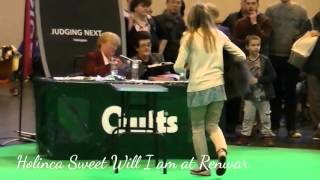 Pekingese Crufts 2016 Veteran amp Puppy dog [upl. by Jacie]