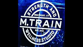 MTrain Theme [upl. by Anaujait]