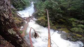 Upper falls CPR trail loads of water [upl. by Ransome488]