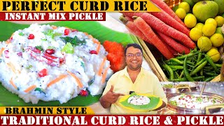 ಮದುವೆ ಮನೆ ಮೊಸರನ್ನ amp ದಿಢೀರ್ ಉಪ್ಪಿನಕಾಯಿ  Authentic Curd Rice amp Instant Pickle Recipe  Creamy amp Rich [upl. by Nesaj556]