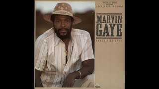 Marvin Gaye  Sanctified Lady SCREWED UP [upl. by Eijneb]