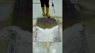 Unbelievable Stain Removal  Instant Results [upl. by Aznerol]