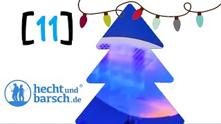 Kiste 11  HechtampBarsch Raubfisch Adventskalender Unboxing UVWasserTest [upl. by Malonis336]