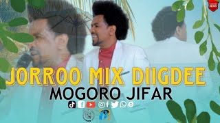 Mogoroo Jifaaraa  Qoosaa Dhiisi  New Oromo music 🎶 2024 [upl. by Shannen]