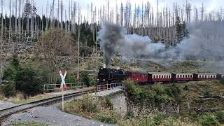 Brockenbahn im September 2024 [upl. by Gardner]