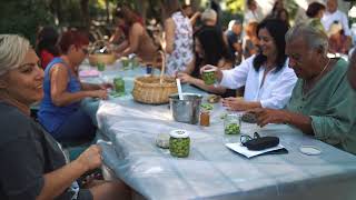 Sea Garden Harvest Day  Sea Garden Zeytin Hasadı [upl. by Noyart711]