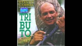 Hernan Gamboa  Tributo Cuatro Solista 1994 Disco Completo [upl. by Seldan]