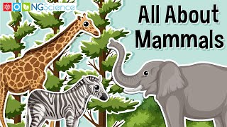 All About Mammals [upl. by Poore]