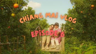 Chiang Mai Vlog 🇨🇷 Travel Diary Episode 6 Araksa Tea Garden ☕️ Jinju The Orange 🍊 Farm [upl. by Hirasuna792]