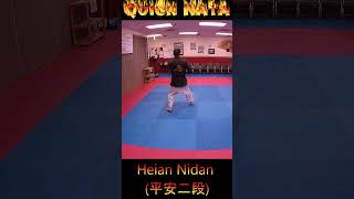 Kata Tutorial Heian Nidan karate karatekata heiannidan [upl. by Ayrad]