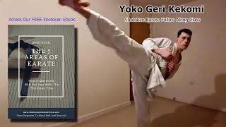 Shotokan Karate Follow Along Class Yoko Geri Kekomi [upl. by Raffin777]