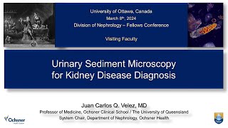 Urinary Sediment Microscopy ​for Kidney Disease Diagnosis with Dr JC Velez [upl. by Biagi]