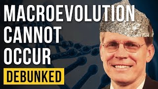 Macroevolution Cannot Occur  Debunked [upl. by Evanthe]