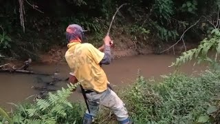 MANCING DIISTANA NYA IKAN SIDATOLeNG DISUNGAI KALIMANTANKangGabugkalidawir [upl. by Muna93]