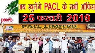 खुलेगा PACL ऑफिस Latest news February 2019  24 times today [upl. by Ailec]