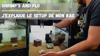 Aquarium pour crevette caridina cantonensis Tuto [upl. by Esihcoc]